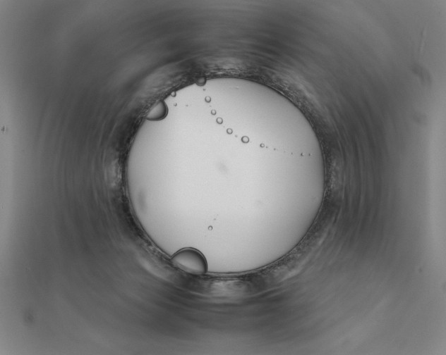 X0000112110173200908251219