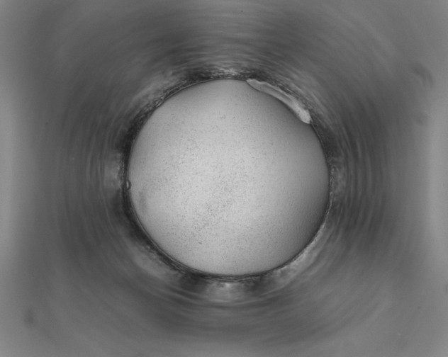 X0000112110174200908251219