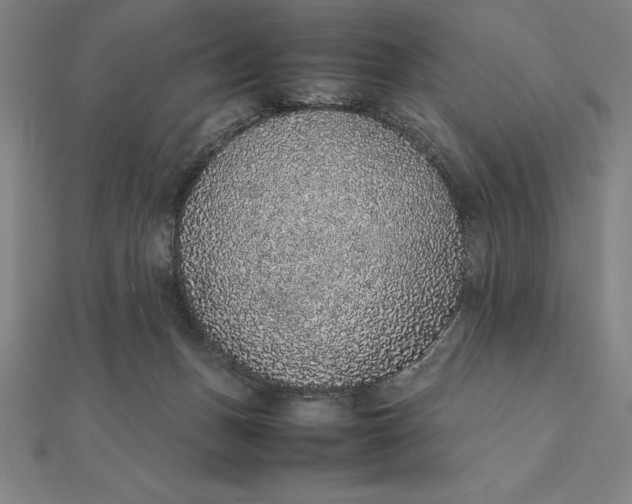 X0000112110175200908251219