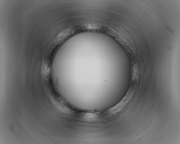 X0000112110176200908251219