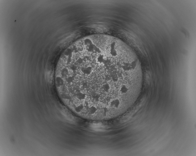 X0000112110177200908251219