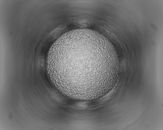 X0000112110178200908251219