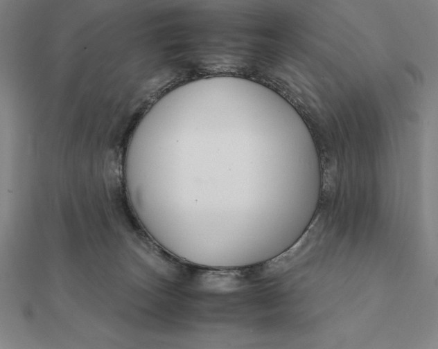 X0000112110179200908251219