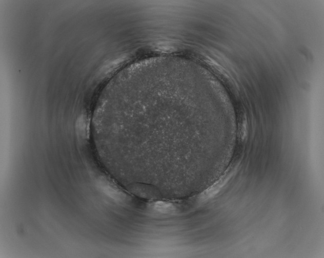 X0000112110180200908251219