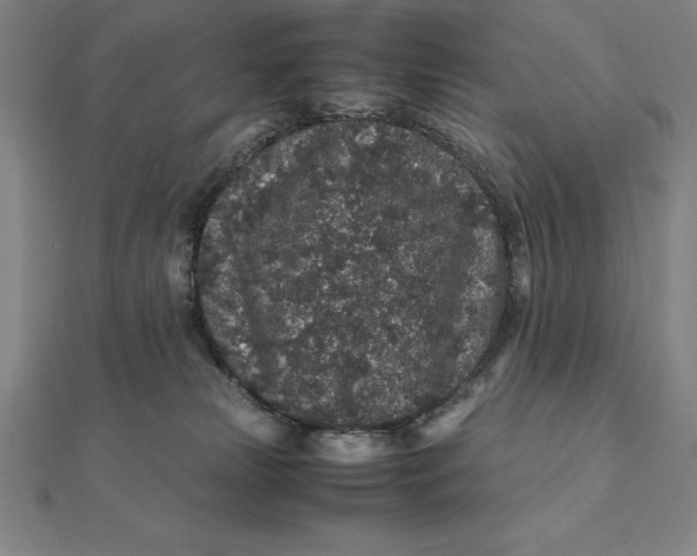 X0000112110181200908251219