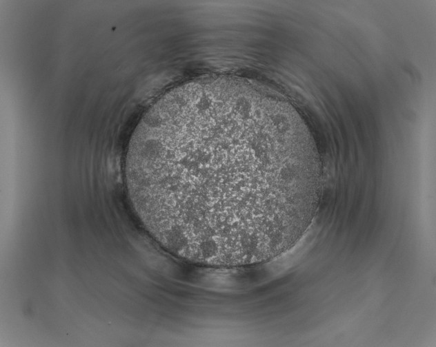 X0000112110182200908251219