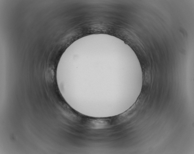 X0000112110183200908251219