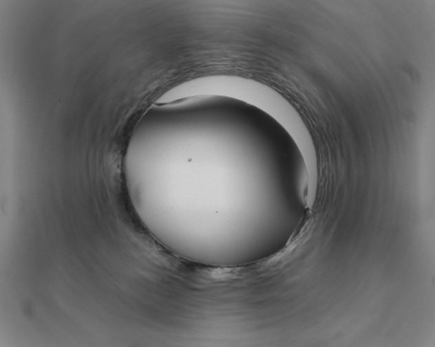 X0000112110184200908251219