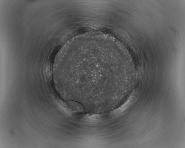 X0000112110186200908251219