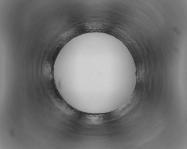 X0000112110187200908251219