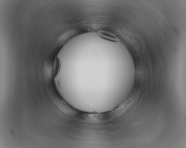 X0000112110188200908251219