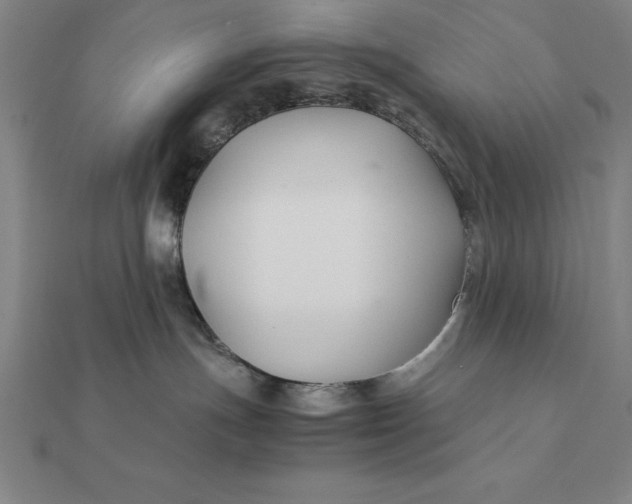 X0000112110191200908251219