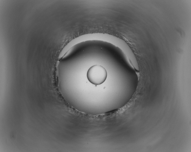 X0000112110192200908251219