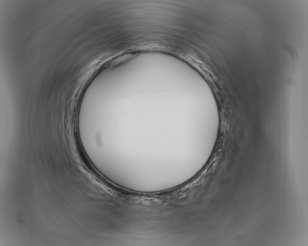 X0000112110193200908251219