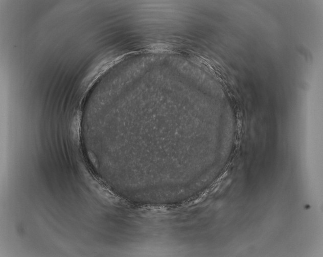 X0000112110194200908251219