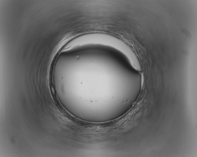 X0000112110195200908251219