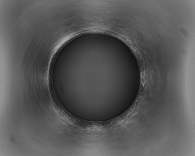 X0000112110196200908251219