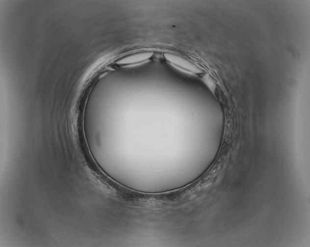 X0000112110197200908251219