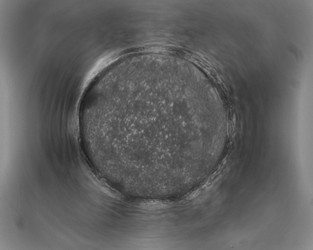 X0000112110198200908251219