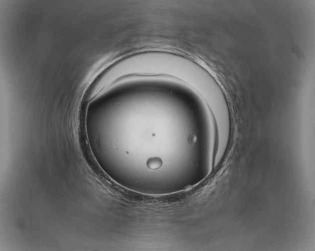 X0000112110199200908251219