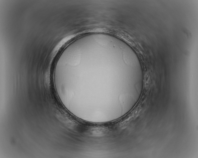 X0000112110200200908251219