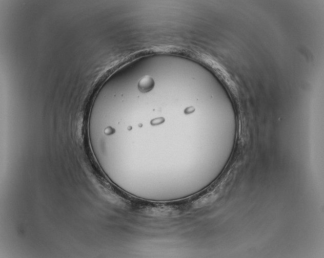 X0000112110201200908251219