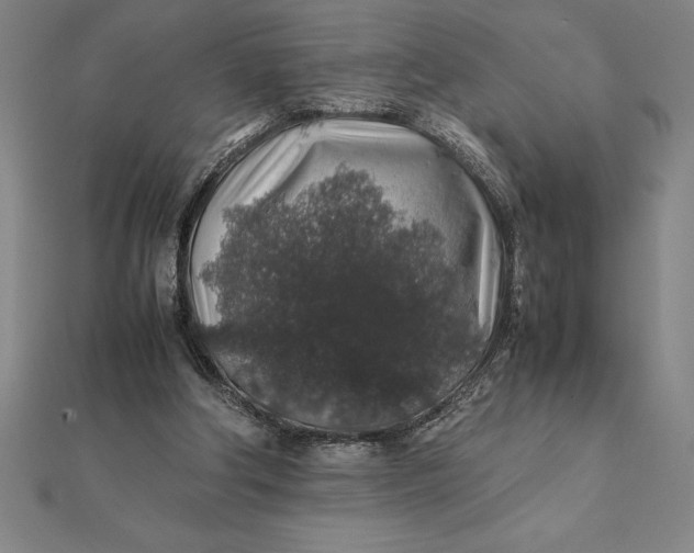 X0000112110202200908251219