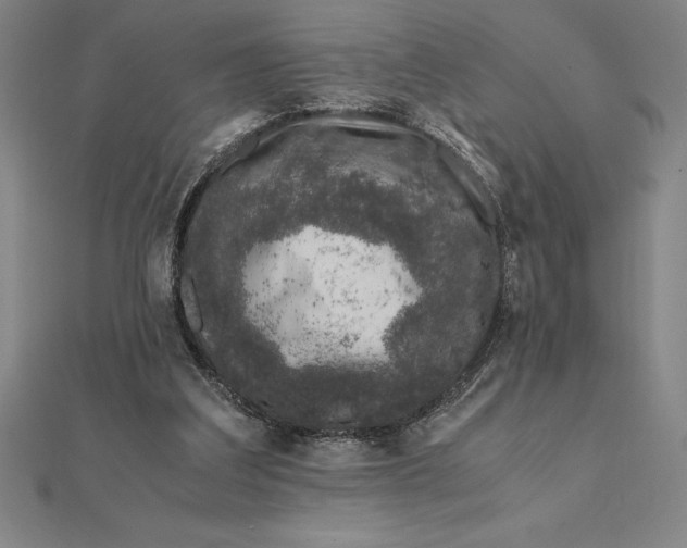 X0000112110203200908251219