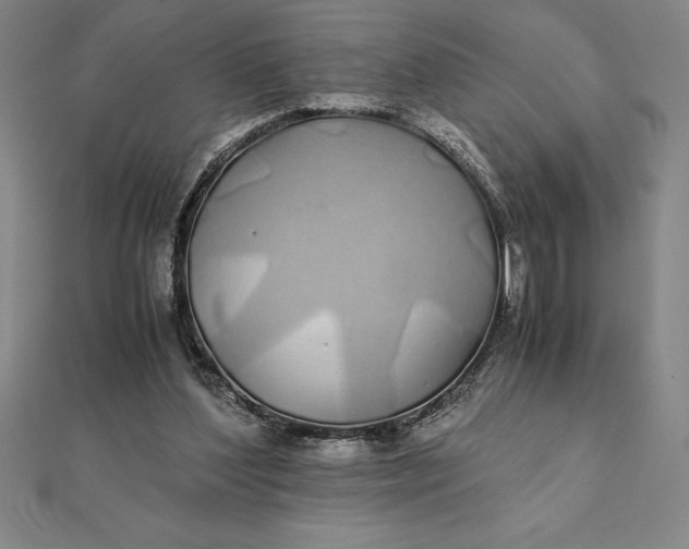 X0000112110204200908251219