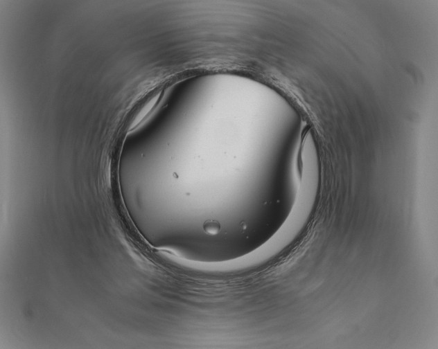 X0000112110205200908251219