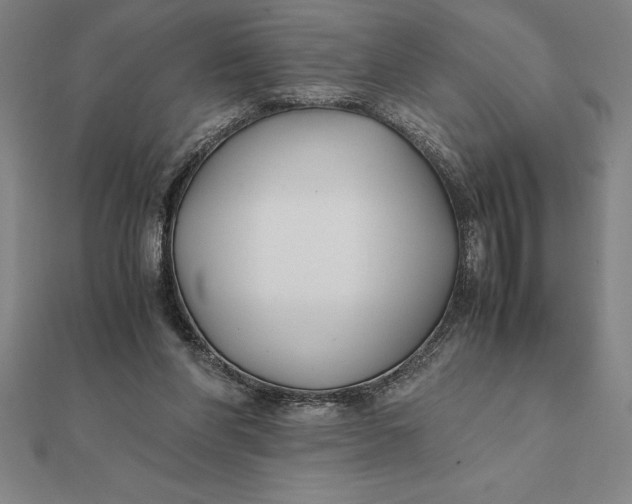 X0000112110206200908251219