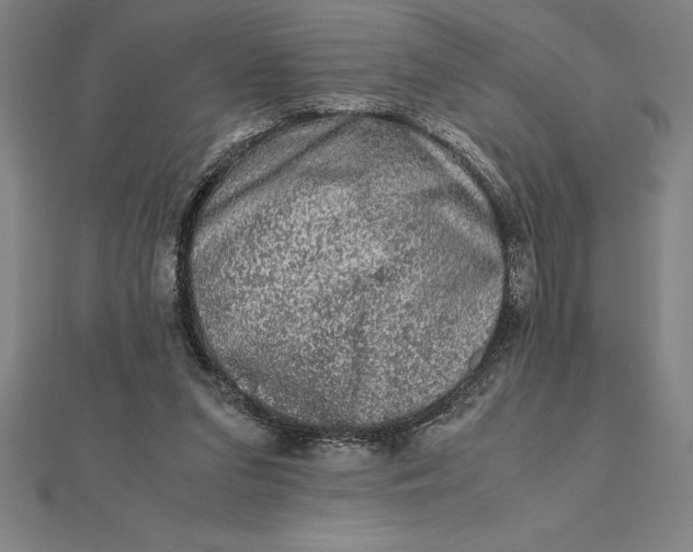 X0000112110207200908251219