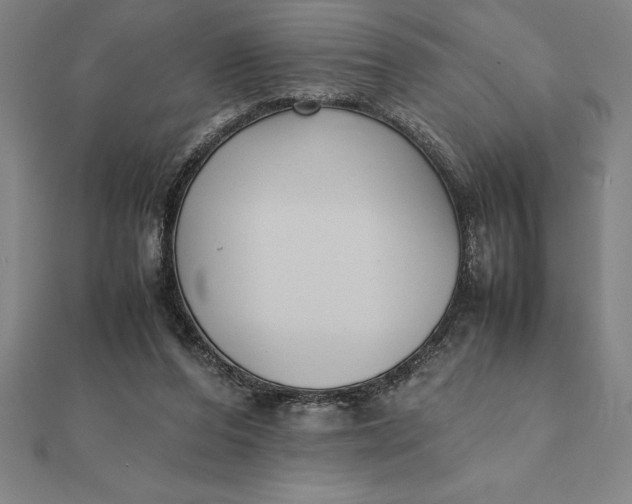 X0000112110208200908251219