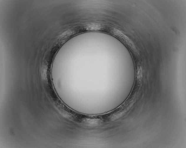 X0000112110209200908251219