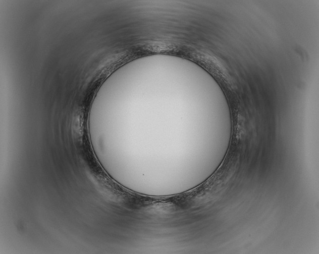 X0000112110210200908251219