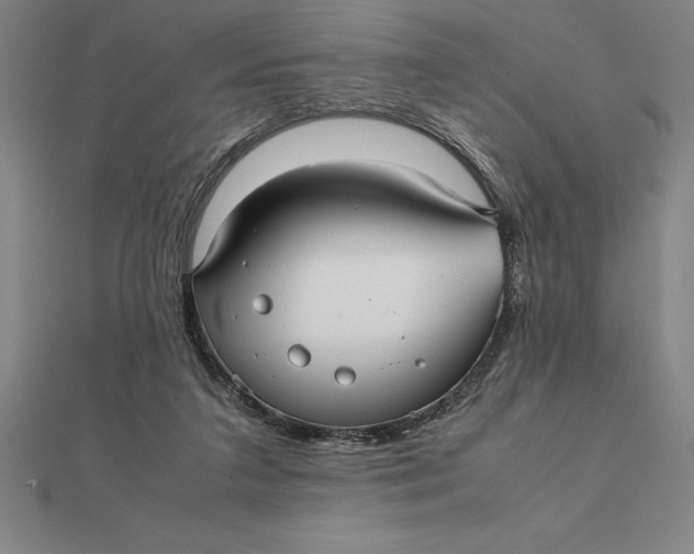 X0000112110211200908251219