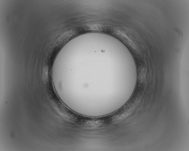 X0000112110213200908251219