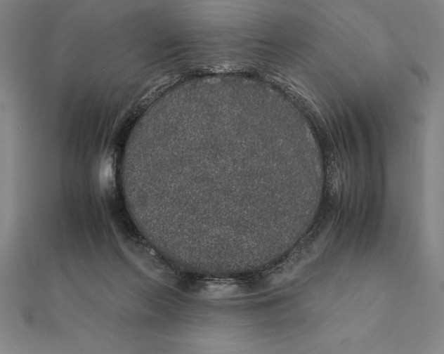 X0000112110214200908251219