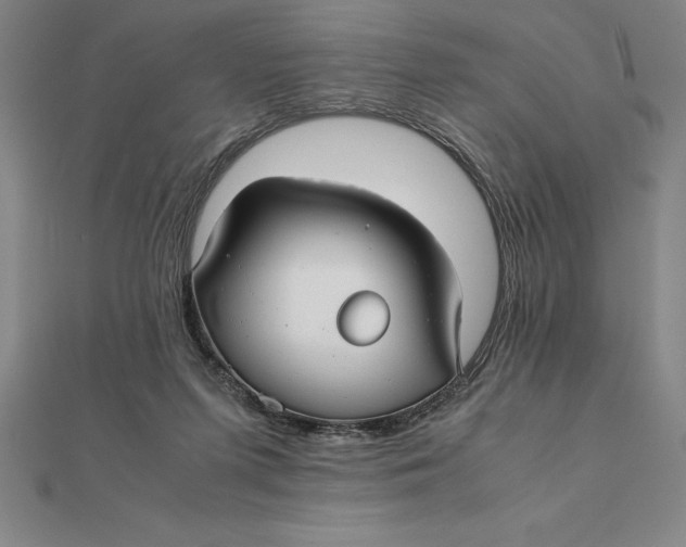 X0000112110215200908251218