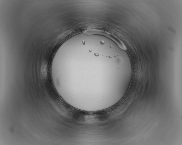 X0000112110216200908251218