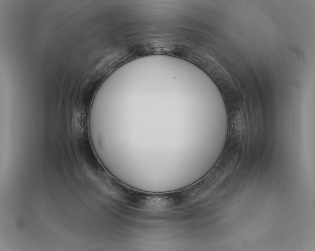 X0000112110218200908251218