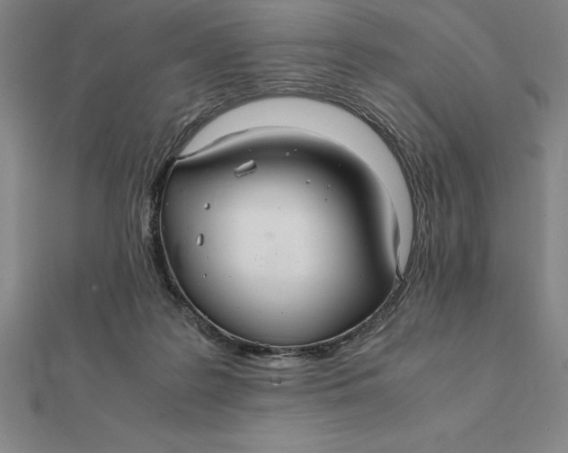 X0000112110219200908251218