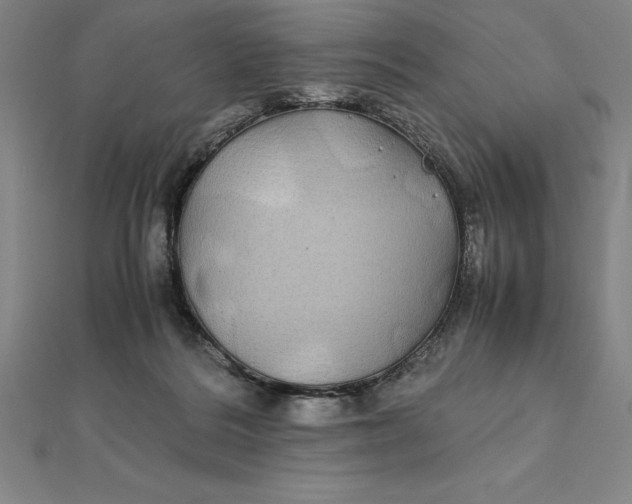 X0000112110220200908251218