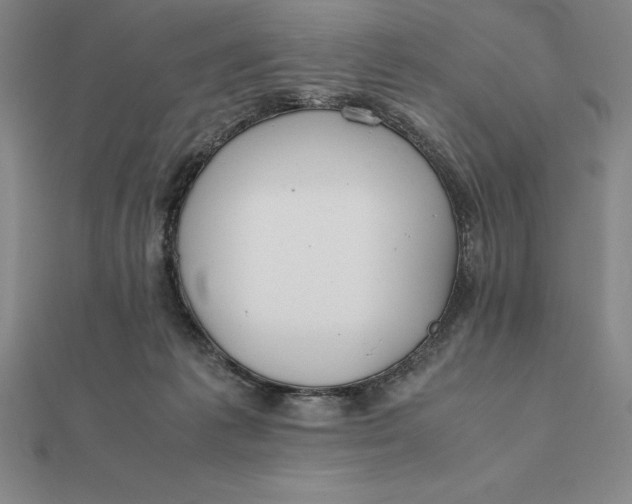 X0000112110221200908251218