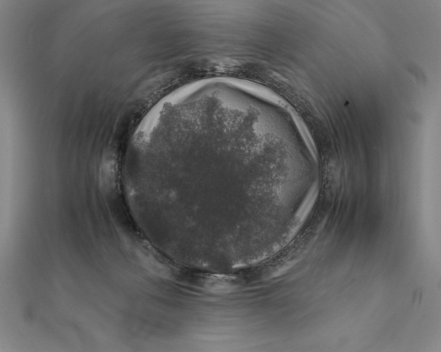 X0000112110222200908251218