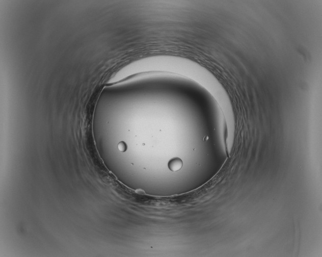 X0000112110223200908251218