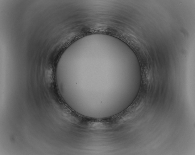 X0000112110224200908251218