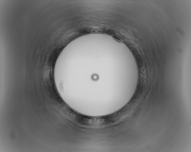 X0000112110225200908251218