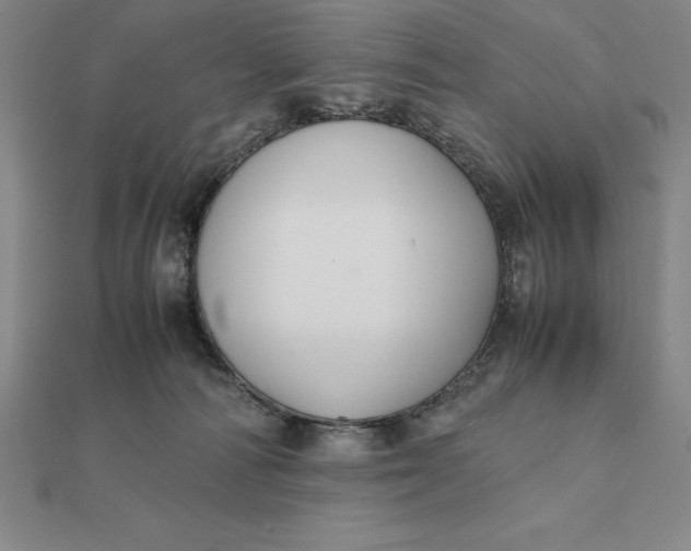 X0000112110226200908251218