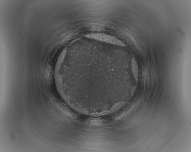 X0000112110228200908251218